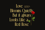 Camila Elegant Ligature Serif Font, a Serif Font by Perfectype (Thumbnail 5 of 8)