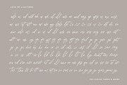 Scotty: a Social Media Quote Script, a Script Font by Margot + Co (Thumbnail 8 of 12)