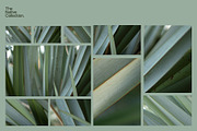Natural textures - Green edition v03, a Texture Graphic by Haehae photography (Thumbnail 3 of 8)