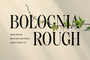 Bolognia Rough, a Serif Font by Craft Supply Co. (Thumbnail 1 of 8)