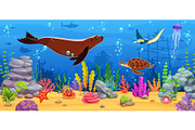 Fur seal and sea animals, an Illustration by Vector Tradition (Thumbnail 1 of 4)