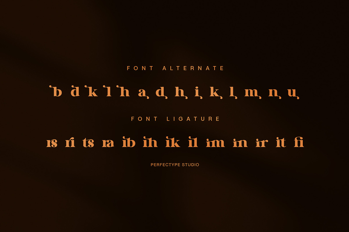 Stars Walk Elegant Serif Font, a Serif Font by Perfectype (Photo 8 of 8)