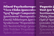 Gabriela, a Serif Font by Lechuga Type (Thumbnail 8 of 17)