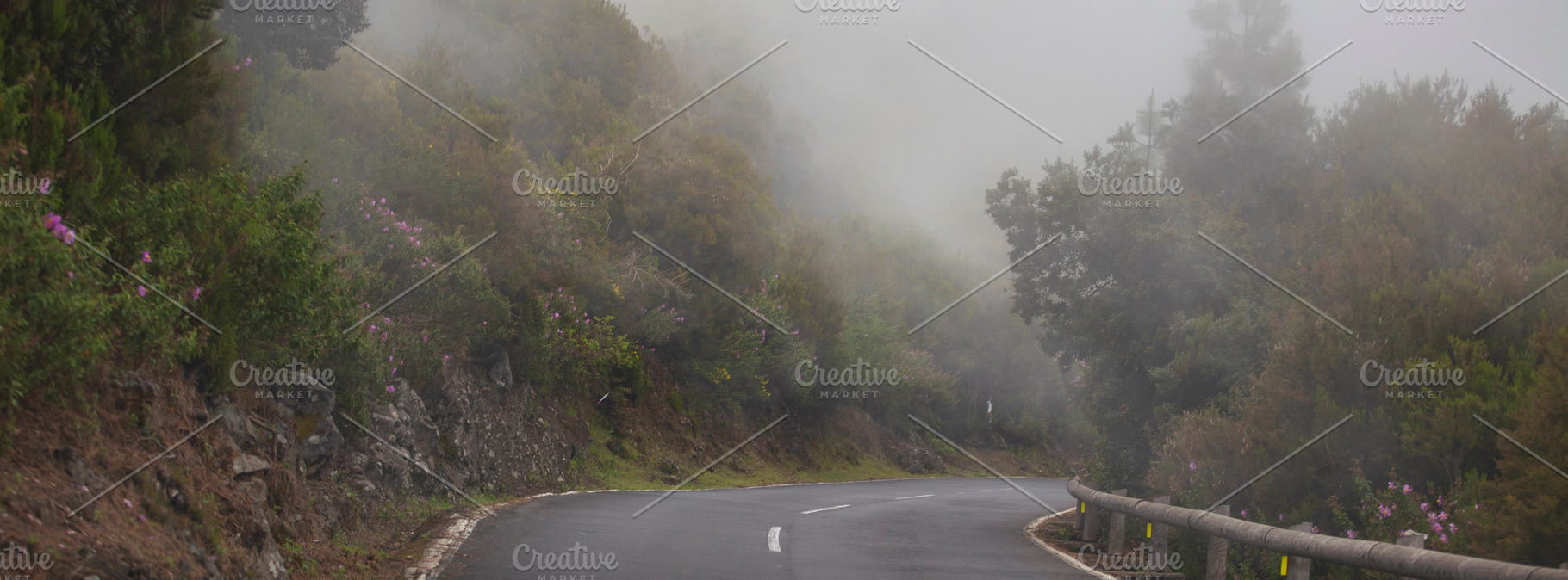 Winding mountain road in thick fog through green forest, mysteri, a Photo by Pictures for you!!!!!!!!!