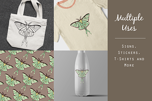 Luna Moth Vector Graphic Set