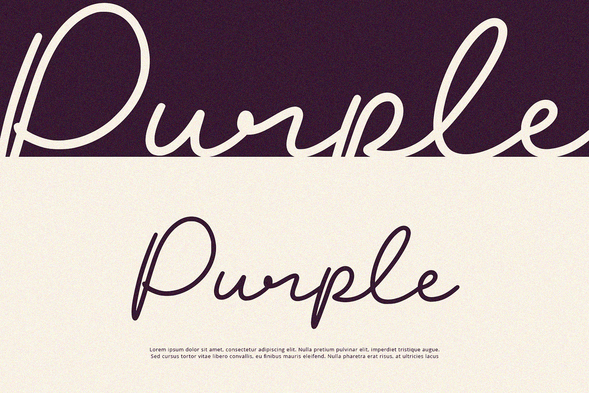 Blush - Script Font, a Script Font by Alpaprana (Photo 3 of 10)