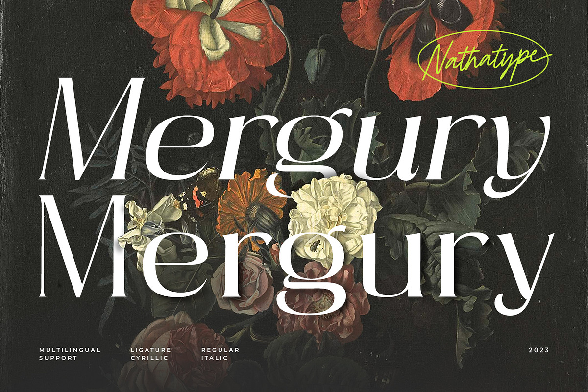 Mergury, a Sans Serif Font by Nathatype (Photo 1 of 10)