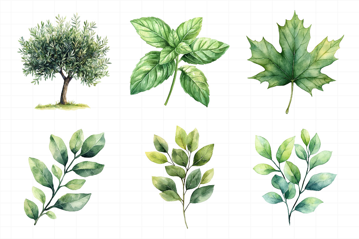 Green Trees and Leaves Clipart, an Illustration by Daily.Designs (Photo 4 of 8)