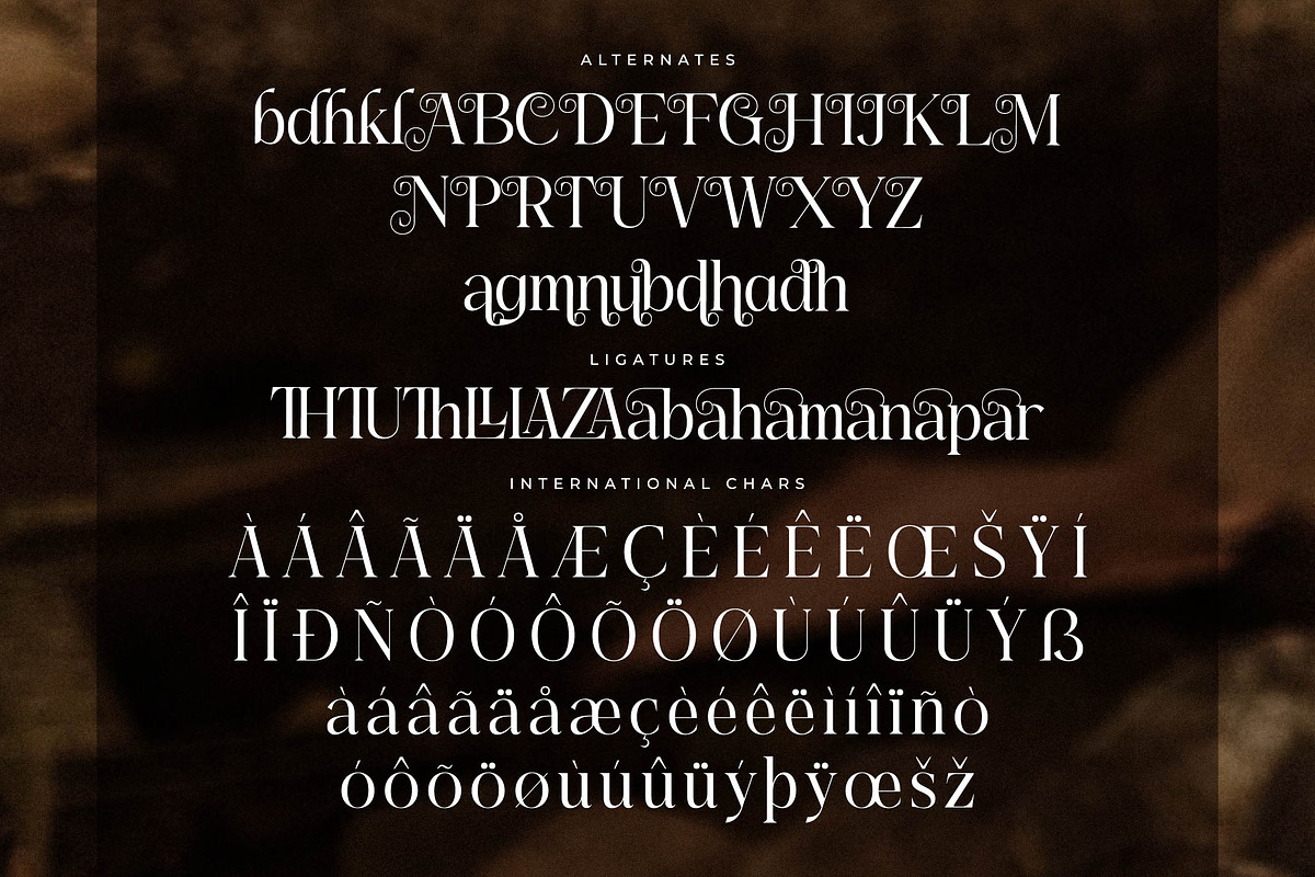 Asgaber Modern Font Serif, a Serif Font by Storytype Studio (Photo 14 of 15)