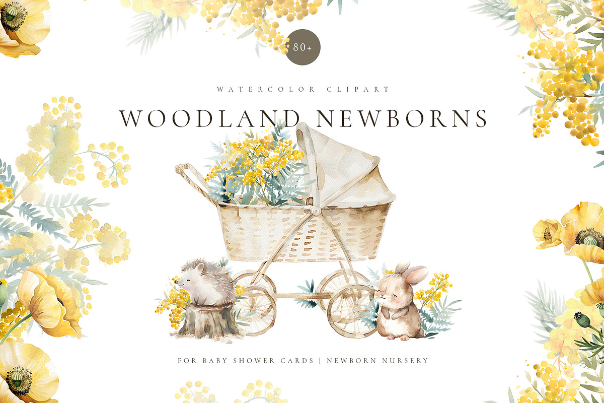 Watercolor newborn woodland animals, an Animal Illustration by MariGraphic boutique (Photo 1 of 9)