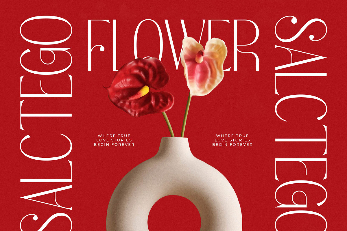 Salctego Modern Luxury Display, a Sans Serif Font by timelesstype.co (Photo 13 of 20)