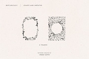 Botanical Illustration Bundle, an Illustration by Studio Edyth (Thumbnail 3 of 8)