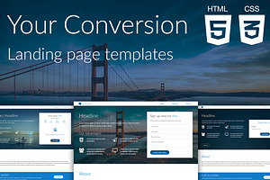 Your Conversion Landing Pages