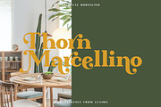 Absolute Borsalino - Serif Font, a Serif Font by Luxima (Thumbnail 4 of 15)