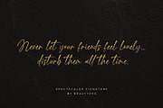 Spectacular Signature Font, a Script Font by Beautypes (Thumbnail 4 of 8)