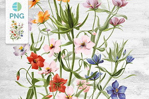 Flowers Watercolor Clipart Vintage