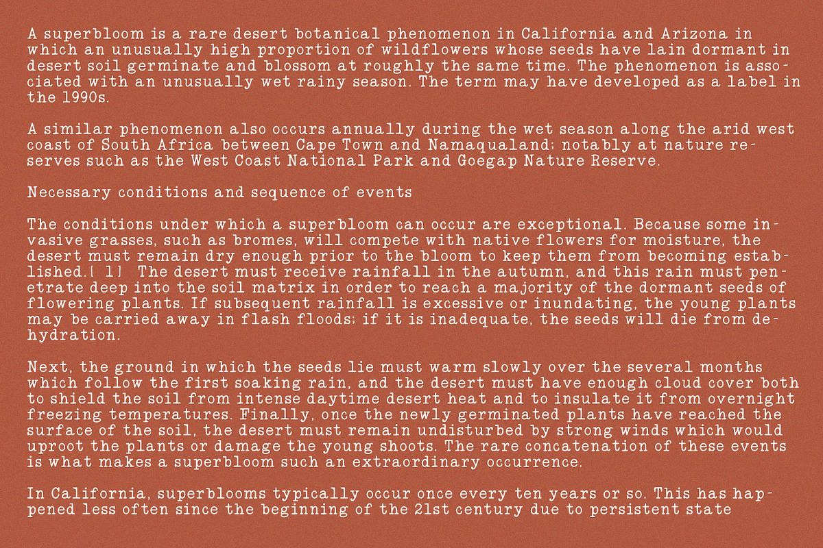 Amore Eterno Retro Typewriter Font, a Serif Font by Calamar Studio (Photo 6 of 11)