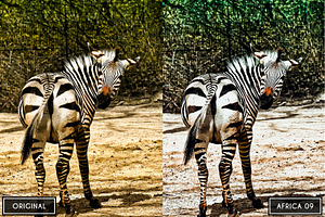 20 Africa Life Lightroom &ACR Preset