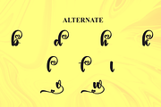 Yellow Houset | Script Font, a Handwritten Font by Scratchones (Thumbnail 8 of 9)