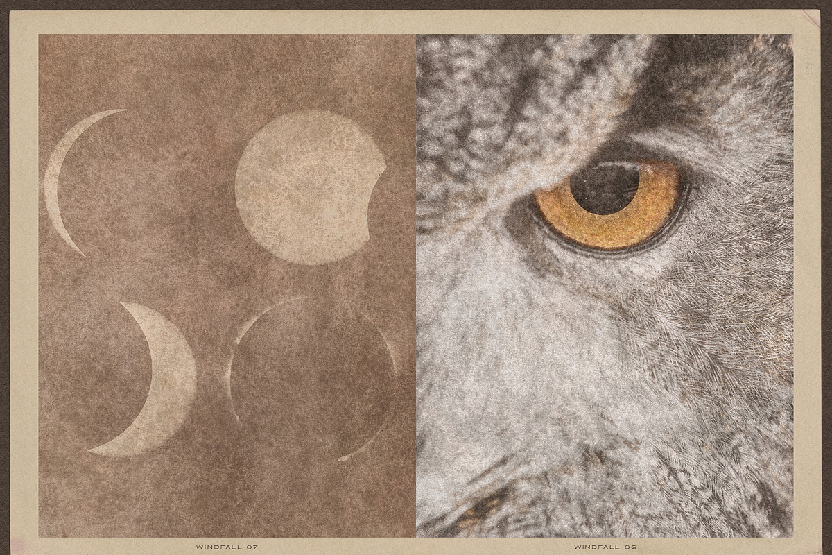 Windfall Organic Nature Backgrounds, a Background Graphic by alonahaidash (Photo 3 of 14)