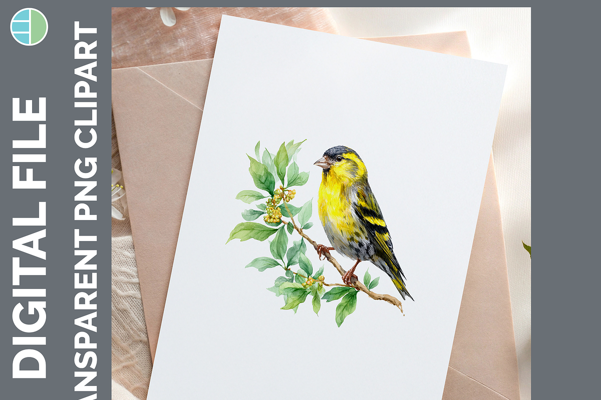 Bird Illustration Bundle, 21 PNG, an Animal Illustration by Enliven Designs (Photo 7 of 8)