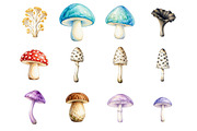 Watercolor Mushrooms clipart, an Object Illustration by fashionaddict (Thumbnail 3 of 7)