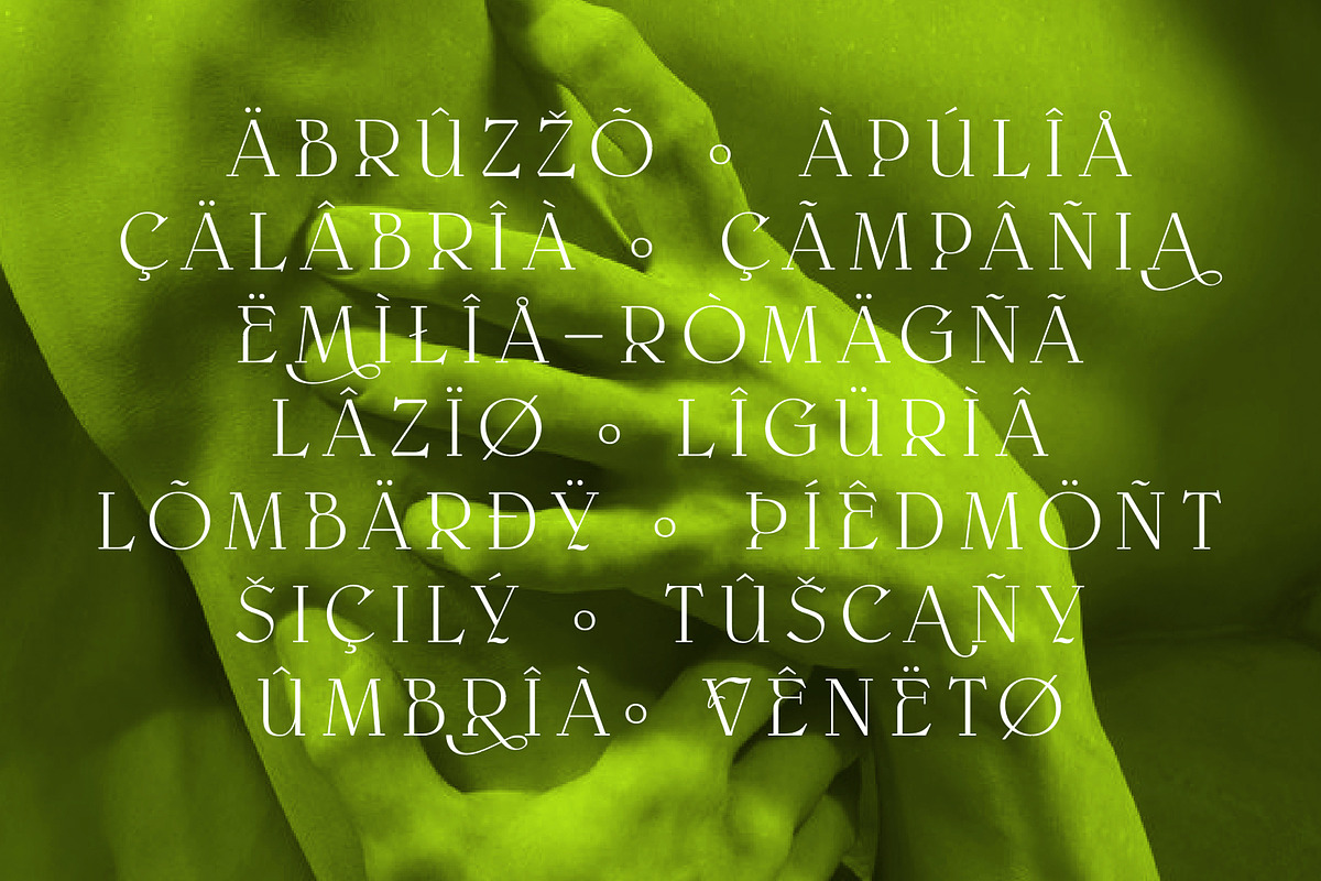 Paxxx | Lux serif, a Serif Font by Drawwwn (Photo 10 of 12)