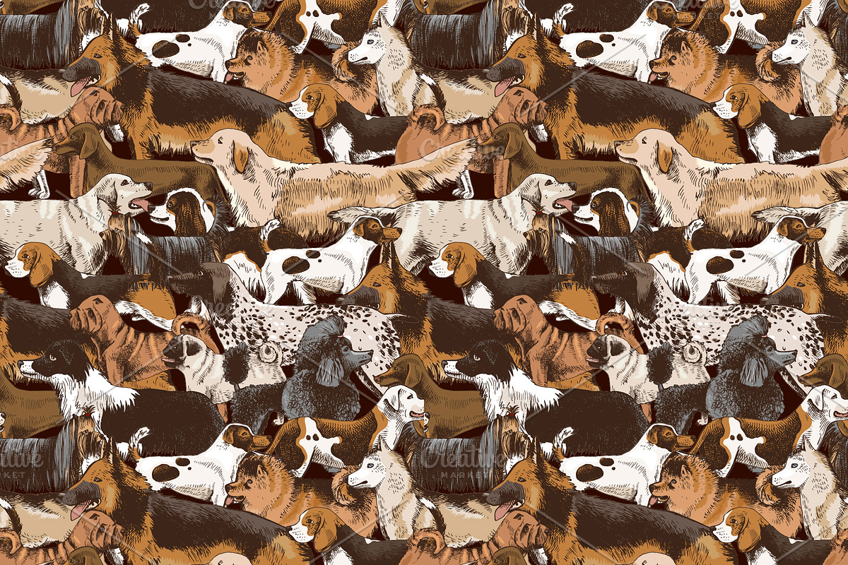 Dog breeds - sketches & lettering, an Animal Illustration by handsketched (Photo 6 of 10)