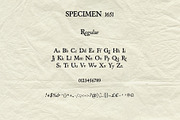 Specimen 1651: Vintage Font Family, a Serif Font by Mneme (Thumbnail 6 of 14)