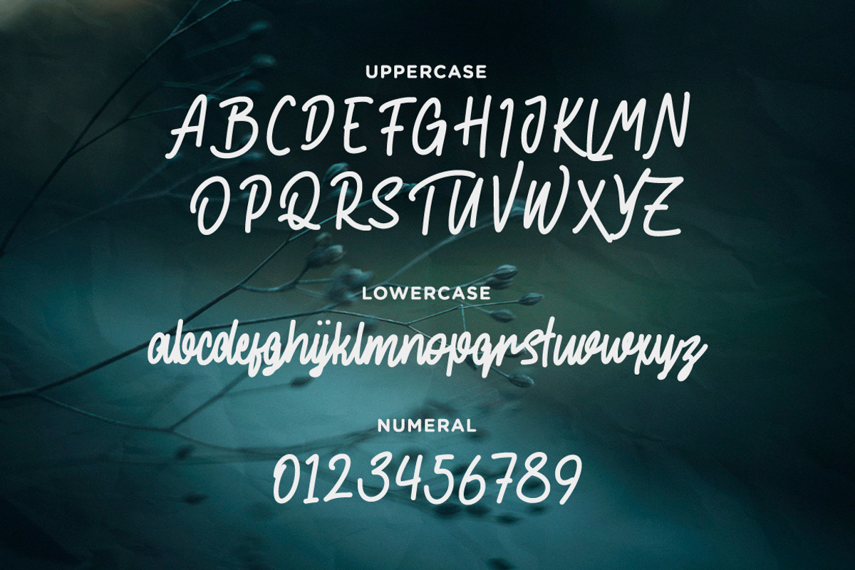 The End Story - Handwritten Font, a Script Font by Typefactoryco (Photo 2 of 10)