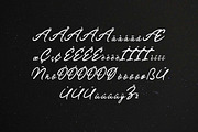 Tropical Streamline Handwritten Font, a Handwritten Font by UICreative (Thumbnail 10 of 13)