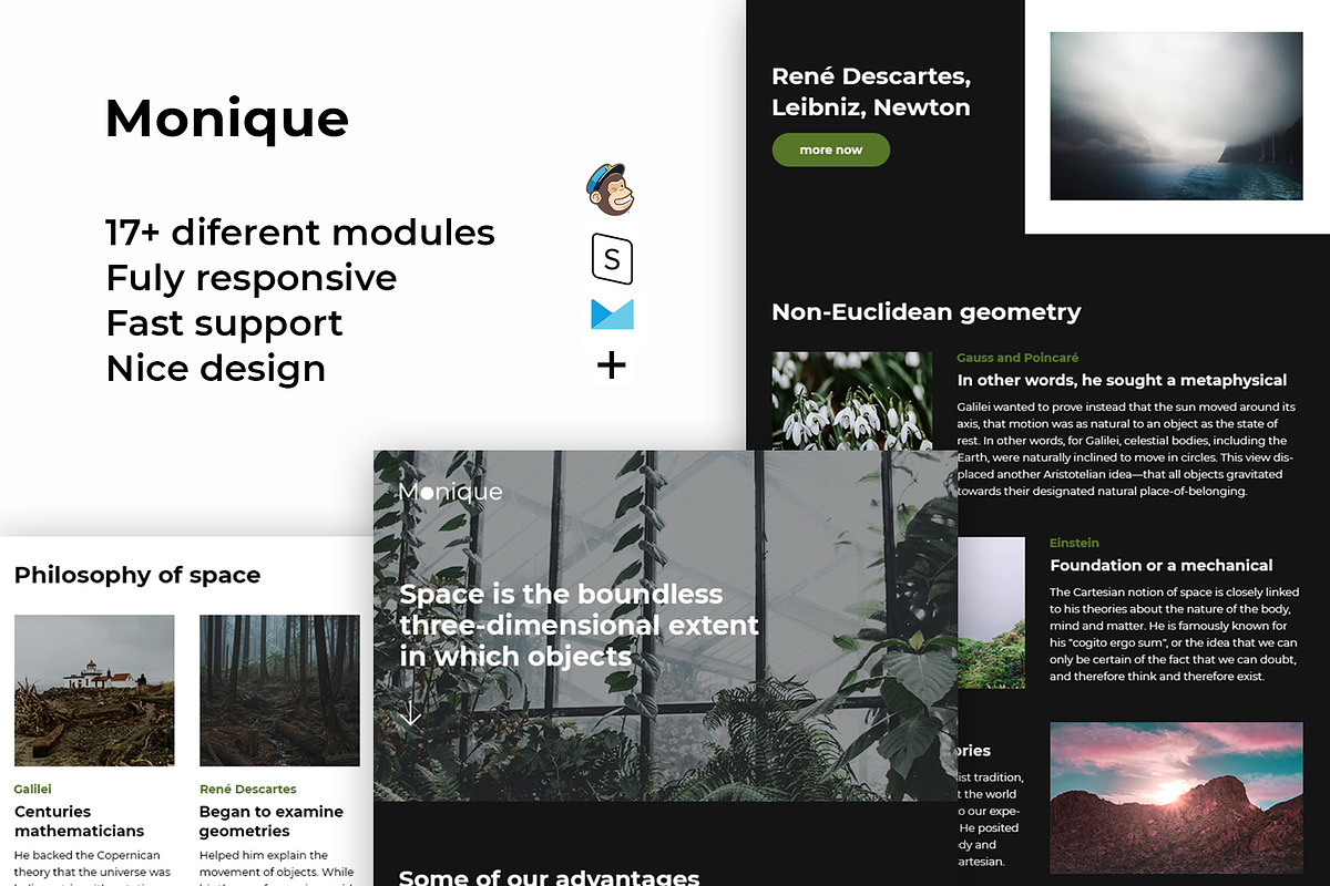 Monique – Responsive Email template, an Email Template by ThemesCode