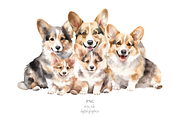 Corgi, an Illustration by TheCuteShop (Thumbnail 3 of 3)