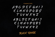 Black Range Brush Font, a Handwritten Font by Maulana Creative (Thumbnail 5 of 10)