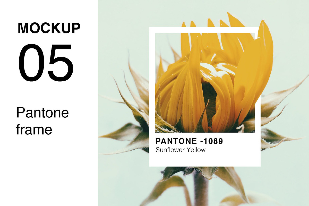 Pantone Colour Mockup Bundle, a Wearable Device Mockup by Tropical Type (Photo 10 of 11)