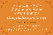 Madena Parlling - Bold Script Font, a Script Font by StringLabs (Thumbnail 13 of 14)