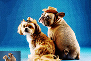 20-in-1 Ultimate Photoshop Actions, an Action Add-On by Studio Retouch (Thumbnail 5 of 61)