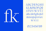 ED Lungwort, a Serif Font by Emyself Design (Thumbnail 4 of 12)