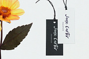 Palmist - SVG Script Font, a Script Font by Prioritype Co (Thumbnail 7 of 10)