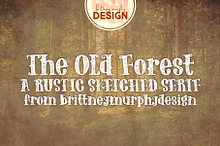 The Old Forest