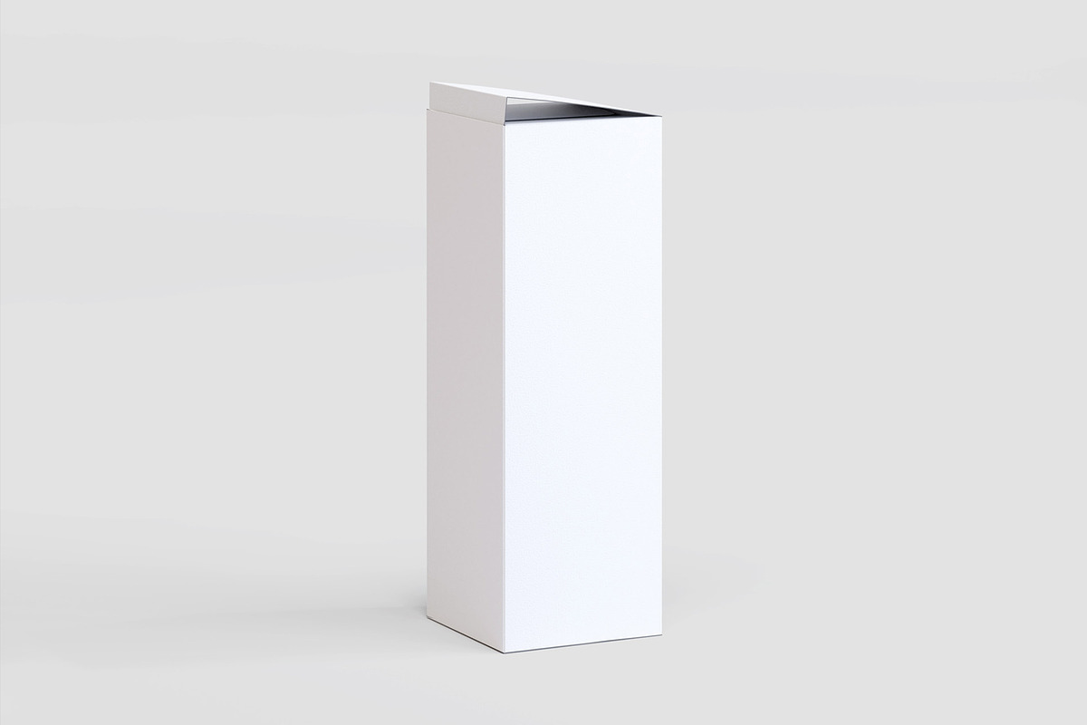 Tall Box Mockup, a Print Template by ana.ien (Photo 4 of 5)