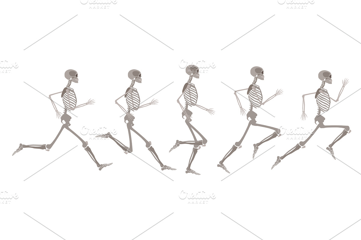 Vector human skeleton in motion and, an Object Illustration by Sabelskaya