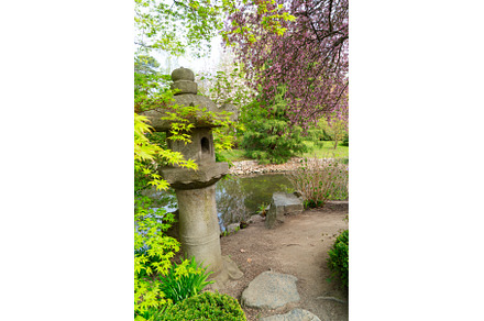 botanical garden of Wroclaw, Poland, a Nature Photo by Neirfy