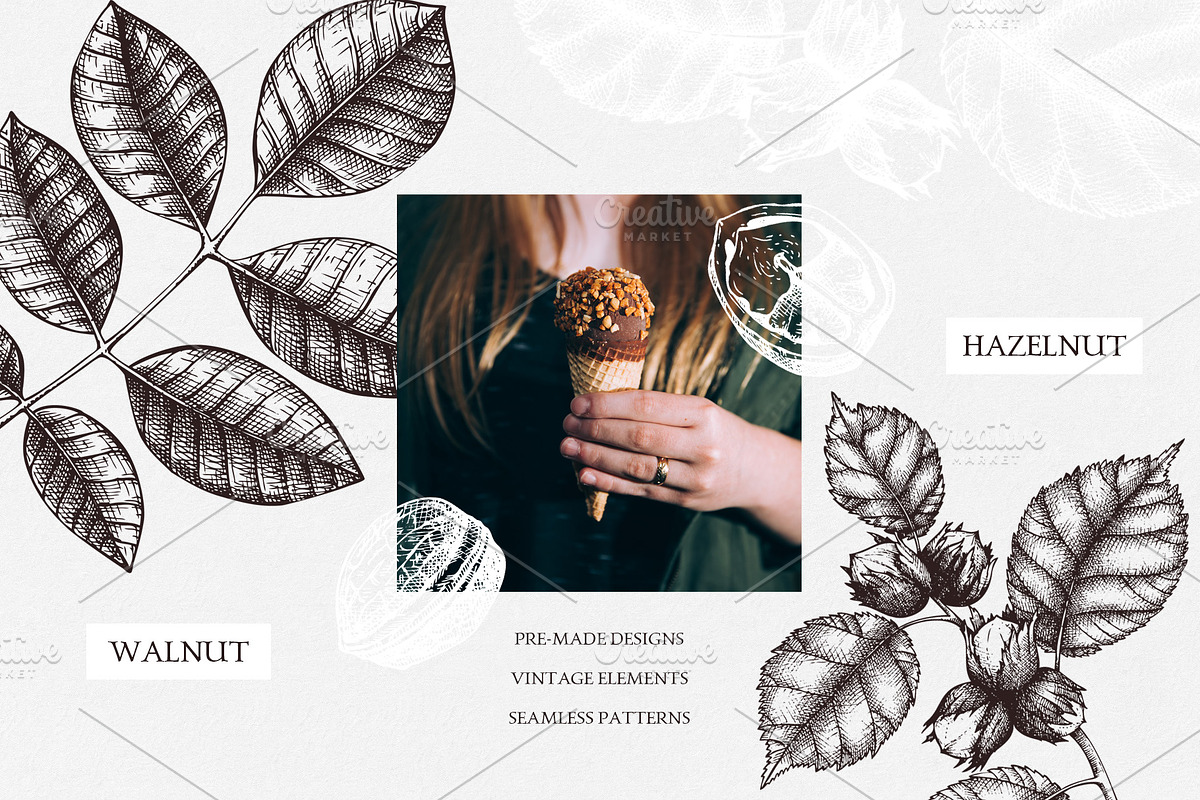 Hand-Drawn Nuts Sketches, a Food Illustration by Yevheniia (Photo 7 of 12)