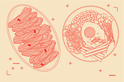 Korean Food Vector Illustrations, a Food Illustration by TheFoodAtlas (Thumbnail 4 of 22)