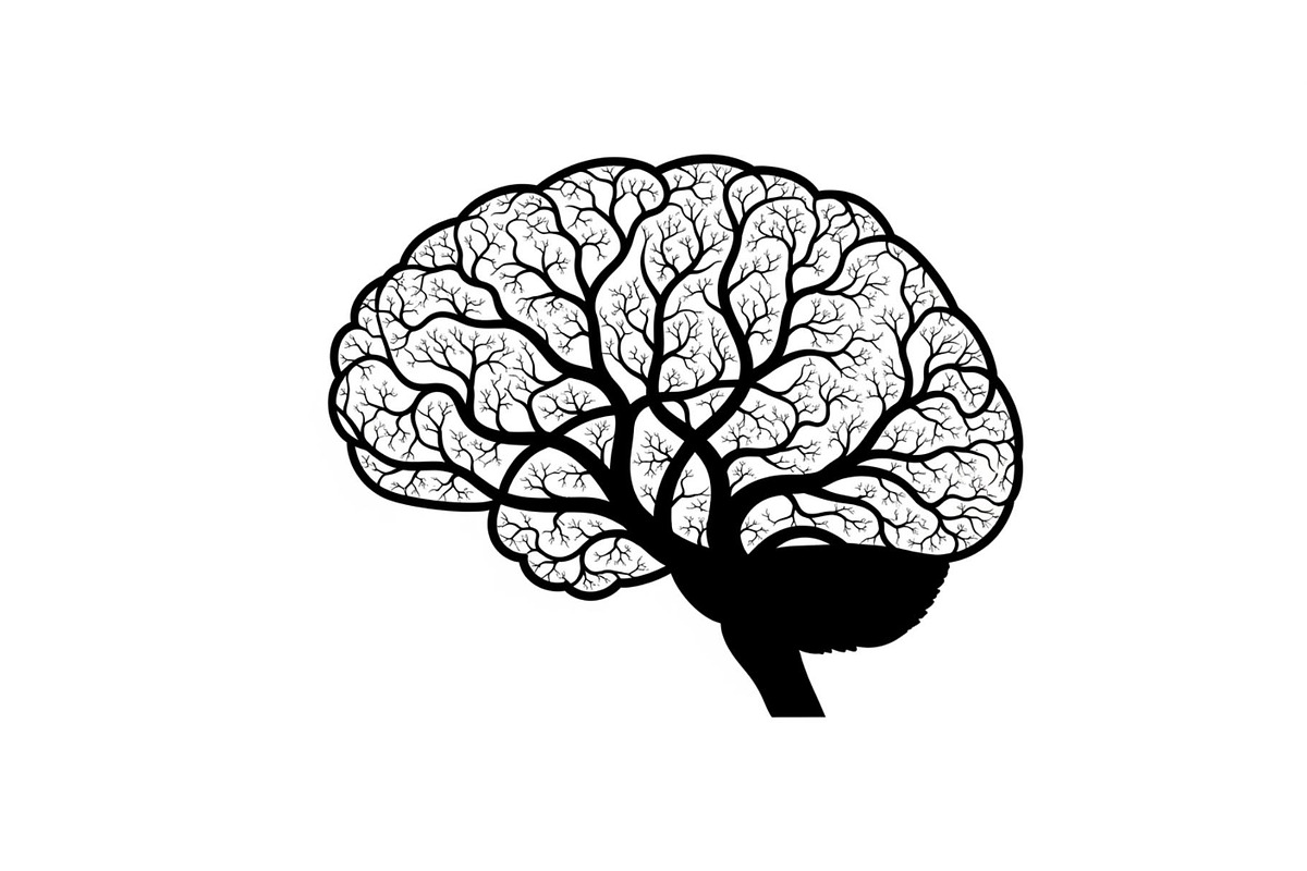 Brain Tree Knowledge Design Bundle, an Illustration by Gaye Art (Photo 22 of 31)