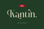 Karosa Modern Serif Display Font, a Serif Font by timelesstype.co (Thumbnail 3 of 20)