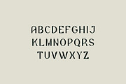 Alviona Modern Serif Font, a Serif Font by UICreative (Thumbnail 4 of 12)