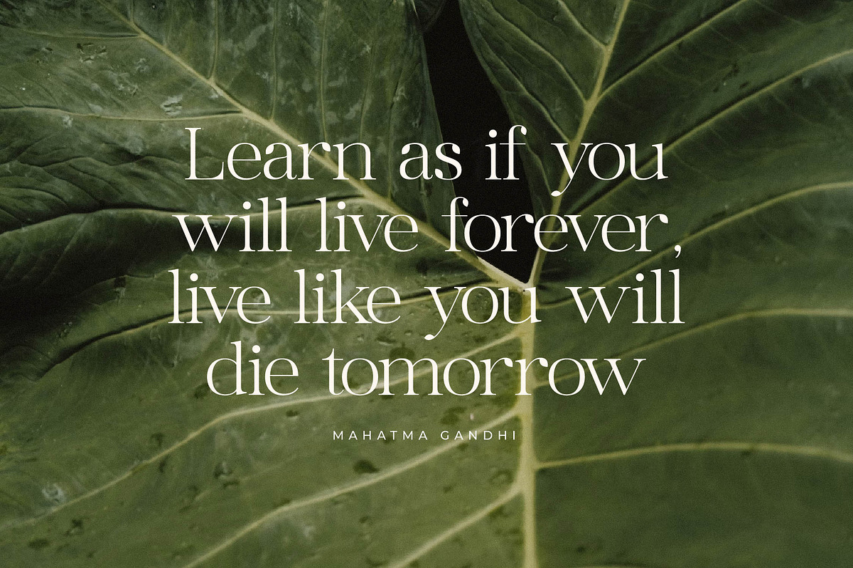 Maiken Modern Stylish Font, a Serif Font by Letterena Studios (Photo 3 of 15)