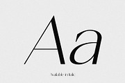 Shoreline - Classical Sans Serif Duo, a Sans Serif Font by Misha Sova (Thumbnail 4 of 11)